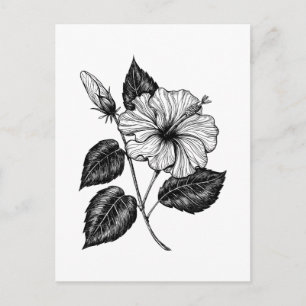 Hibiscus blomma II Vykort