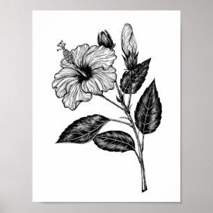 Hibiscus-blomma III Poster
