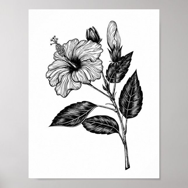 Hibiscus-blomma III Poster (Framsidan)