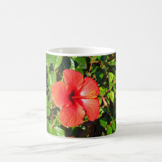 Hibiscus blomma kaffemugg (Center)