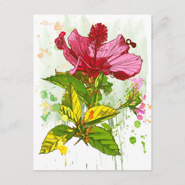 Hibiscus-blomman - vattenfärgsfärg vykort (Framsida)