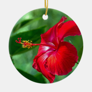 Hibiscus-Blommar Julgransprydnad Keramik