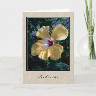 Hibiscus - Blommigt Series Kort