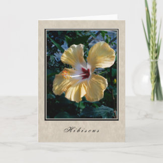 Hibiscus - Blommigt Series Kort