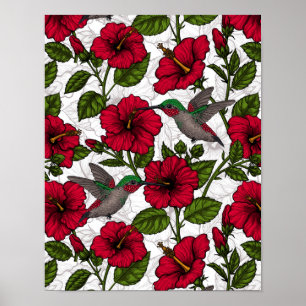 Hibiscus-blommor och hummingfåglar poster