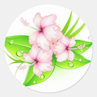 hibiscus blommor runt klistermärke