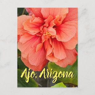 Hibiscus Bloom Dubbel Persika, Arizona vykort