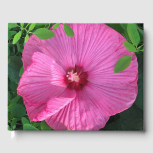Hibiscus Bloom: Mind Edition Gästböcker
