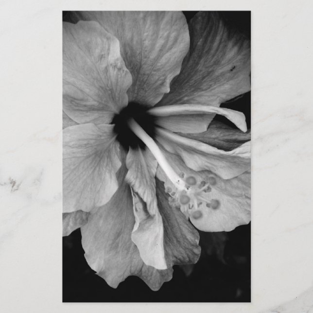 Hibiscus Brevpapper (Framsida)