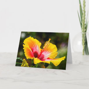 Hibiscus Bright Gult med rött hjärta Kort