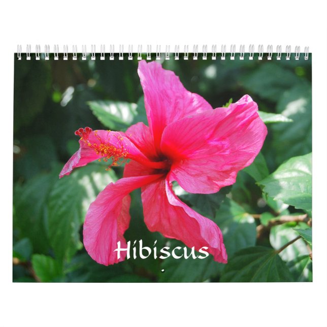Hibiscus Calendar Kalender (Omslag)