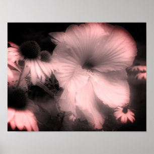 Hibiscus Flower Black and White Twitted Poster