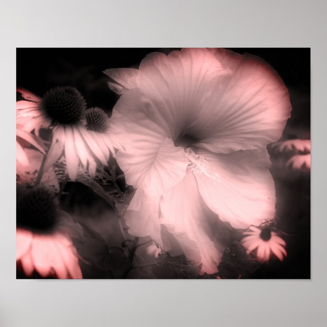 Hibiscus Flower Black and White Twitted Poster (Framsidan)