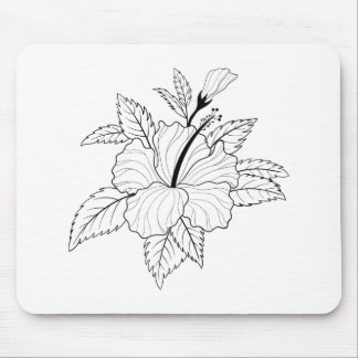 Hibiscus Flower Illustration Musmatta