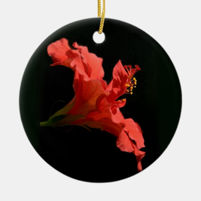 Hibiscus Flower Julgransprydnad Keramik (Framsidan)