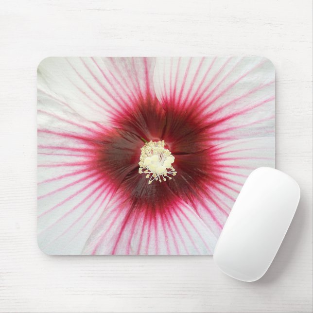 Hibiscus Flower Macro Musmatta (Med mus)