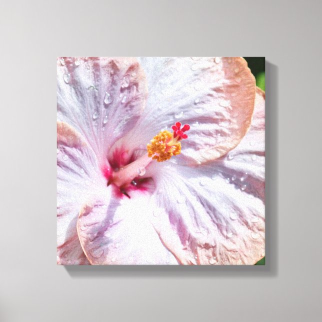 Hibiscus Flower med Dew Canvastryck (Framsida)
