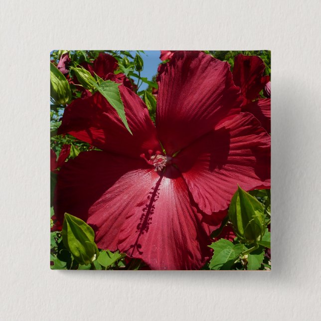 Hibiscus Flower och Blå himmel Knapp (Framsida)