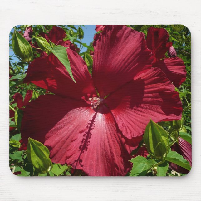 Hibiscus Flower och Blå himmel Musmatta (Framsidan)