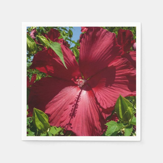 Hibiscus Flower och Blå himmel Pappersservett (Framsidan)