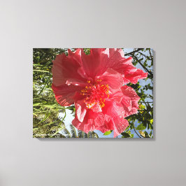 Hibiscus Flower Skriv ut @3dudes1life Canvastryck
