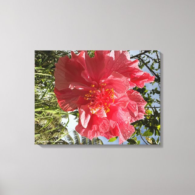 Hibiscus Flower Skriv ut @3dudes1life Canvastryck (Framsida)