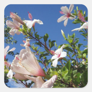 Hibiscus Flower Stickers Fyrkantigt Klistermärke