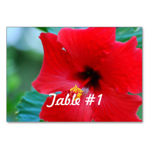 Hibiscus Flowers Bordsnummer