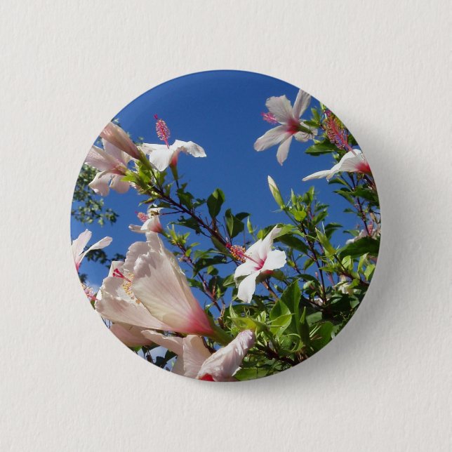 Hibiscus Flowers-knapp Knapp (Framsida)