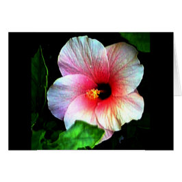 Hibiscus Gibney Museum Zazzle Hälsningskort