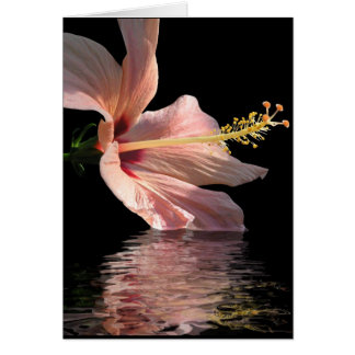 Hibiscus Hälsningskort
