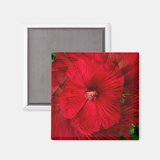 Hibiscus kärlek... magnet (Front/Back)