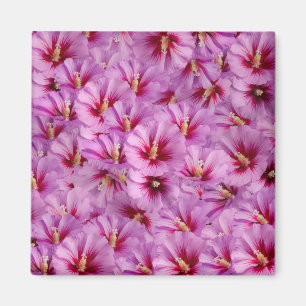 Hibiscus - Kinesiska Ro Flower Mönster Magnet