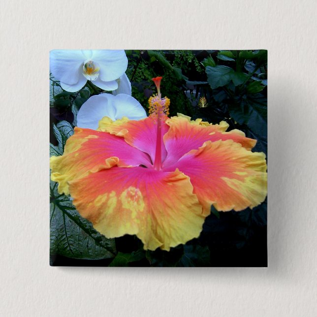 hibiscus knapp (Framsida)