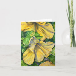 Hibiscus Kort