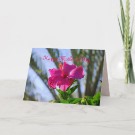 Hibiscus-kortet Lycklig Mors dag Shock rosa Kort