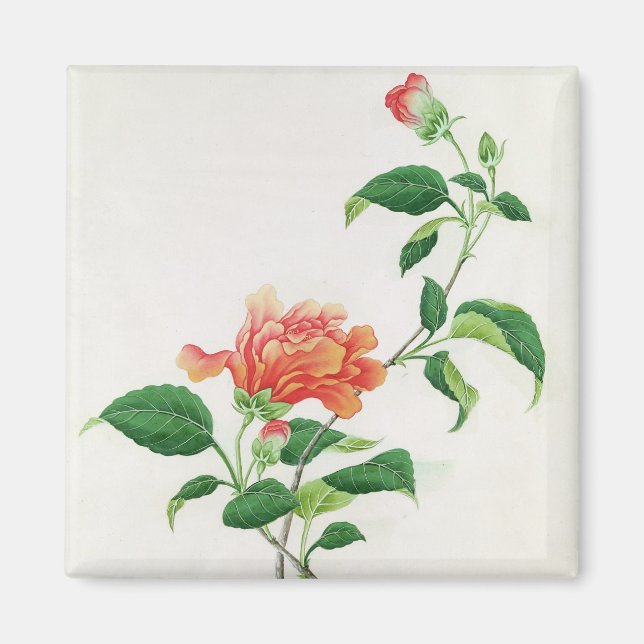 Hibiscus Magnet (Framsidan)