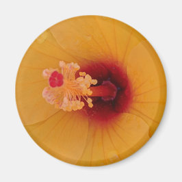 Hibiscus Magnet