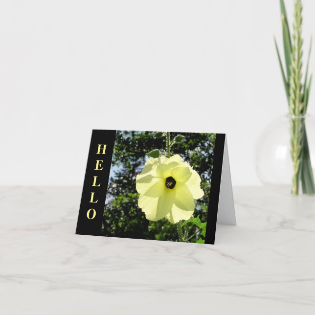HIBISCUS/MOONLIGHT-GULT, BAKGRUND AV SOL/ "HEJ" KORT (Framsida)