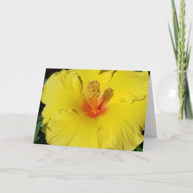 Hibiscus Notecard Kort (Framsida)