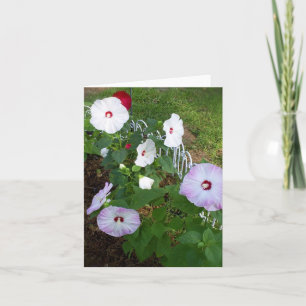 Hibiscus notecard, sort kort