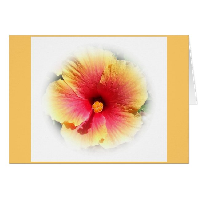 Hibiscus OBS Kort (Framsidan Horizontal)