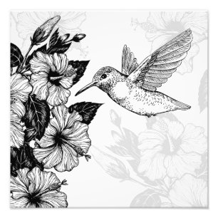 Hibiscus och hummingbird fototryck