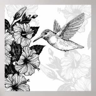 Hibiscus och hummingbird poster