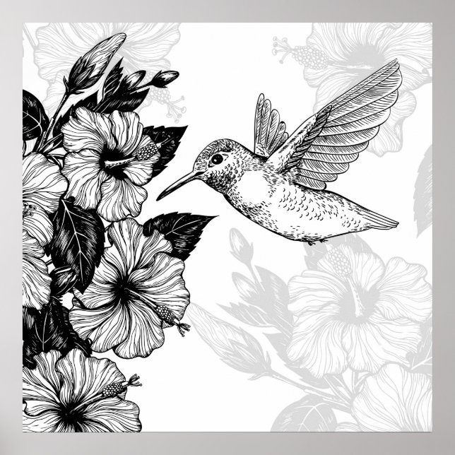 Hibiscus och hummingbird poster (Framsidan)
