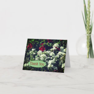 Hibiscus och Phlox-blommor - tack för ditt kort