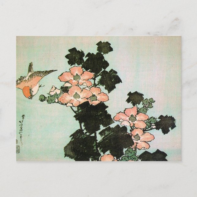 Hibiscus och Sparrow Vykort (Framsida)