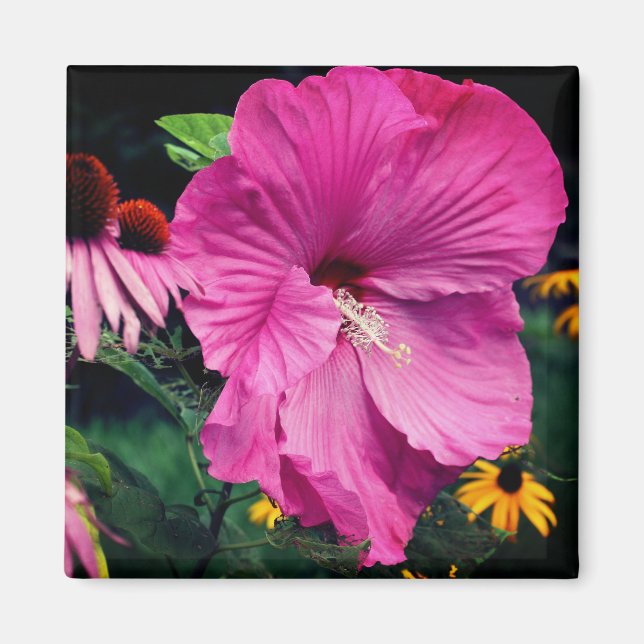 Hibiscus och vänner Blomsterträdgård  Magnet (Framsidan)