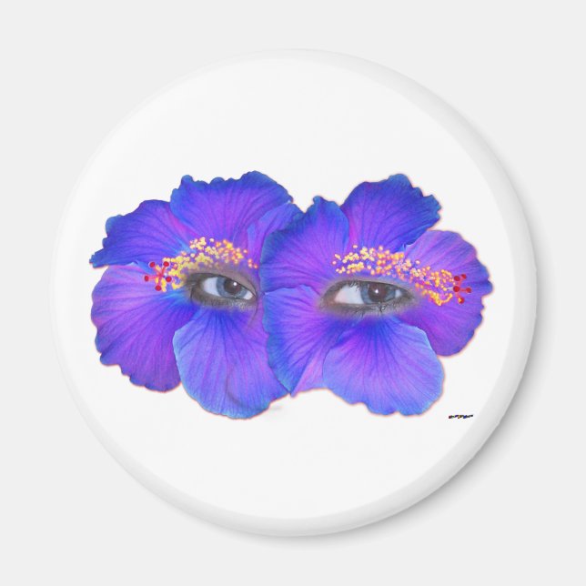 Hibiscus Öga - Blue Magnet (Framsidan)