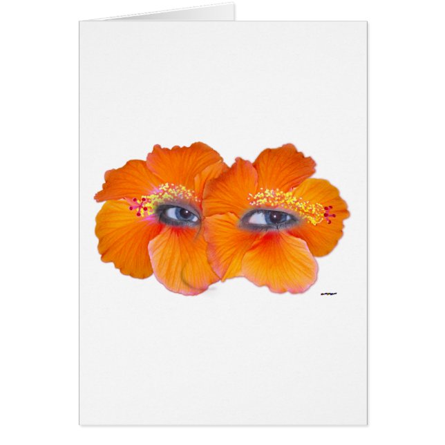 Hibiscus Öga - Orange Hälsningskort (Framsidan)